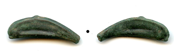 Ancient dolphin-shaped AE28 coin, Greek Olbia, Sarmatia, c.5th Century BC