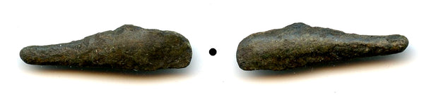 Ancient dolphin-shaped AE27 coin, Greek Olbia, Sarmatia, c.5th Century BC