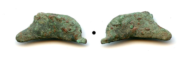 Ancient dolphin-shaped AE24 coin, Greek Olbia, Sarmatia, c.5th Century BC
