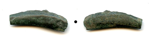 Ancient dolphin-shaped AE24 coin, Greek Olbia, Sarmatia, c.5th Century BC