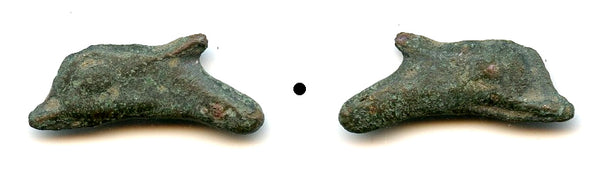 Ancient dolphin-shaped AE22 coin, Greek Olbia, Sarmatia, c.5th Century BC
