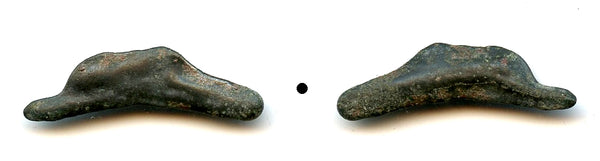 Ancient dolphin-shaped AE25 coin, Greek Olbia, Sarmatia, c.5th Century BC