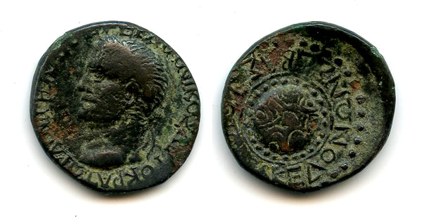 Rare AE24 of Vitellius (69 CE), Macedonia, Roman Provincial coinage