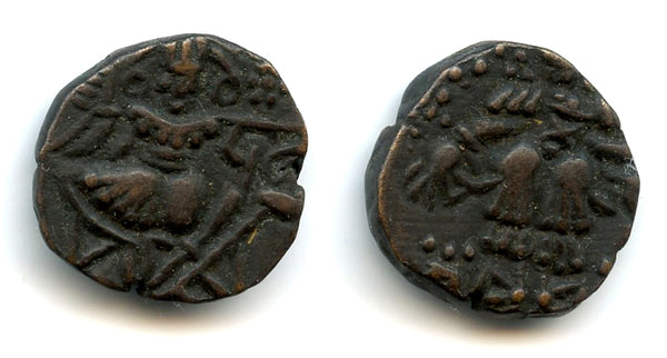 RRR high quality AE stater, King Pangu (Nirjitavarman?) (921), Kashmir Kingdom, India