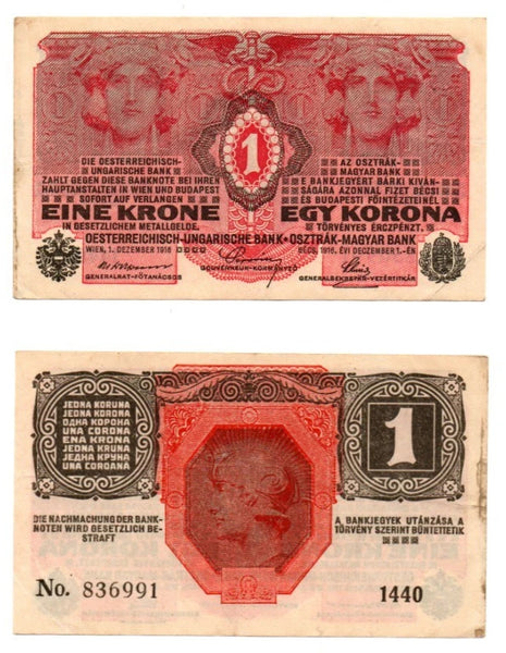 1 krone/korona from Austria-Hungary, 1916 (Pick#20)