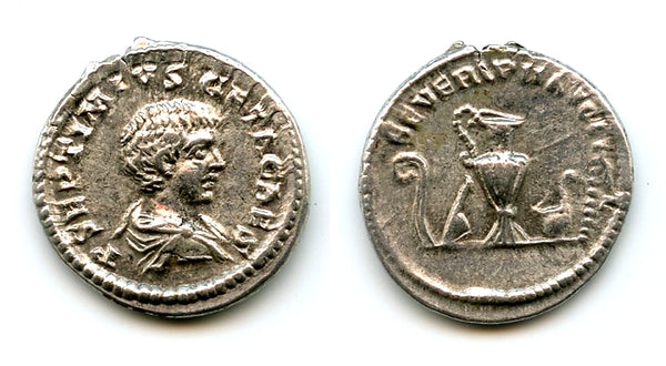 Silver denarius of Geta (198-212 AD), Rome mint, Roman Empire (RIC