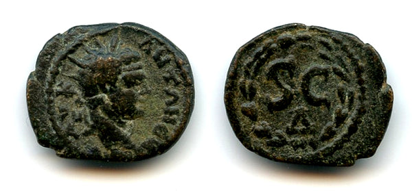Bronze radiate assarion, Caracalla (198-217 CE), Antioch, Roman Provincial Issue