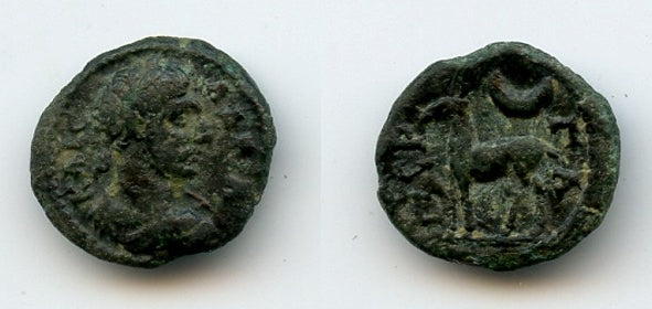 Rare AE12 of Hadrian (117-138 CE), Perge, Pamphylia, Roman Provincial coinage