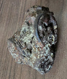 Large clump (205g) of shipwrecked iron coins, Southern Song period, c.1127-1279, China