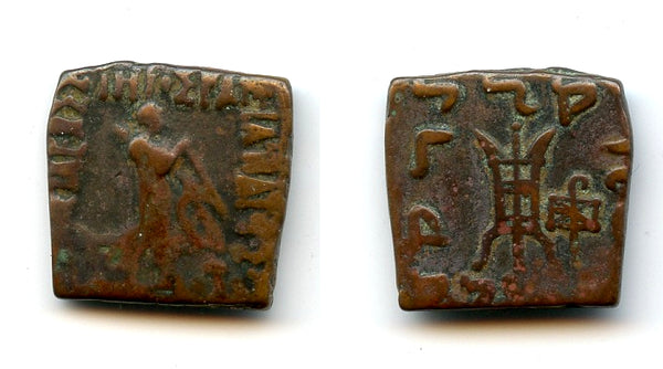 Bronze dichalkous, Apollodotos II (c.80-65 BC), Indo-Greek Kingdom