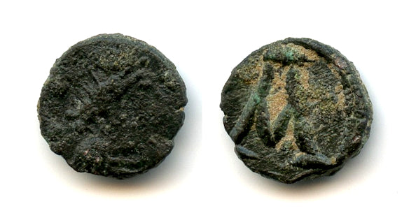 Bronze nummus of Justinian I (527-565 AD), Carthage, Byzantine Empire