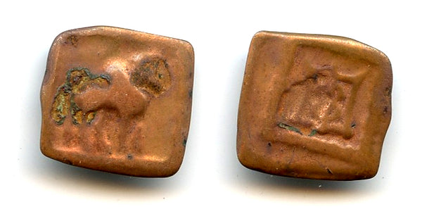 Bronze chalkous, Apollodotos II (c.80-65 BC), Indo-Greek Kingdom