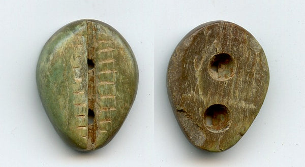 Rare green bone cowrie-coin (teeth and two holes), W.Zhou, 1046-771 BC, China