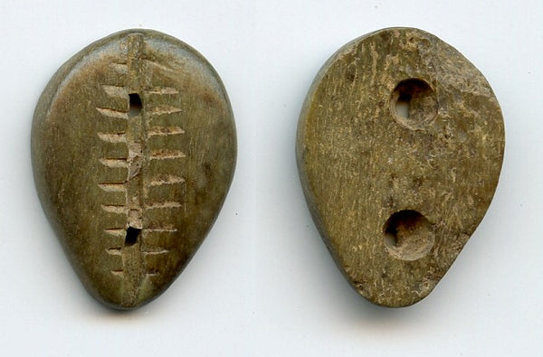Rare brown bone cowrie-coin (teeth and two holes), W.Zhou, 1046-771 BC, China