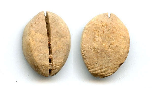 Ancient bone cowrie-coin (no teeth/holes), W.Zhou, 1046-771 BC, China (Schjoth#A7)