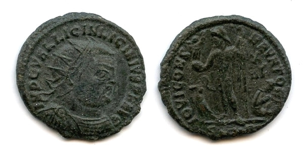 Scarce radiate follis of Licinius (308-324 AD), Nicomedia, Roman Empire