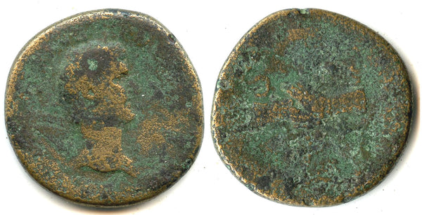 Rare sestertius of Antoninus Pius as Caesar, 138 CE, Rome mint, Roman Empire