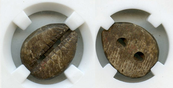 Certified bone cowrie coin - earliest coinage of China! W.Zhou (1046-771 BC) H#1.2v
