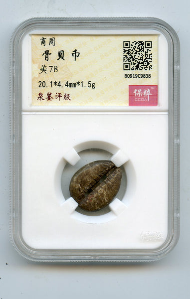 Certified bone cowrie coin - earliest coinage of China! W.Zhou (1046-771 BC) H#1.2v