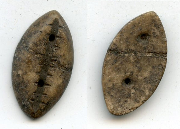 RR authentic large jade cowrie coin, W. Zhou (1046-771 BC), N. China