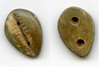 Rare ancient green bone cowrie-coin, W.Zhou, 1046-771 BC, China