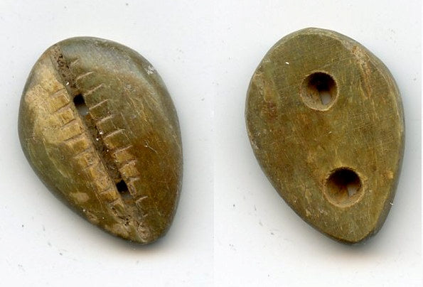 Rare ancient green bone cowrie-coin, W.Zhou, 1046-771 BC, China