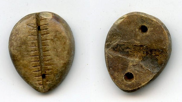 Rare ancient green bone cowrie-coin, W.Zhou, 1046-771 BC, China