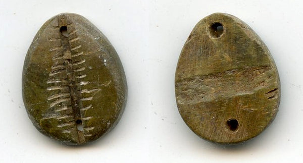 Rare ancient green bone cowrie-coin, W.Zhou, 1046-771 BC, China