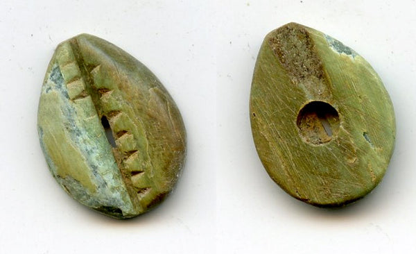 Rare greenish bone cowrie-coin, W.Zhou dynasty (1046-771 BC), China - Hartill #1.2