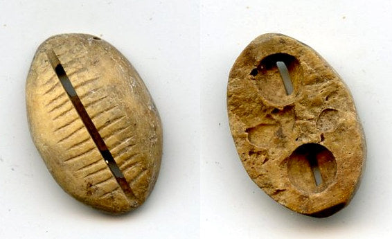 Ancient bone cowrie-coin (teeth and two holes), W.Zhou, 1046-771 BC, China