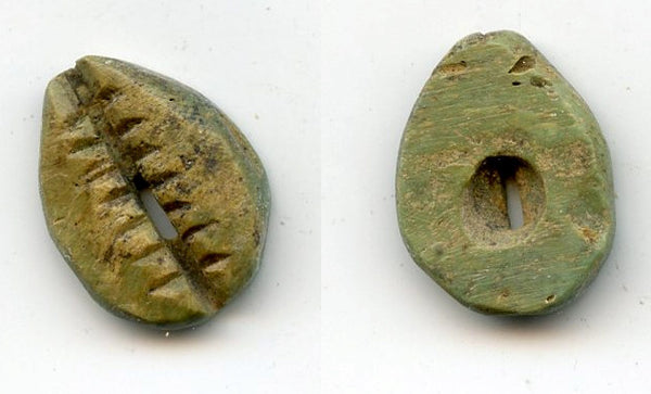 Rare greenish bone cowrie-coin, W.Zhou dynasty (1046-771 BC), China - Hartill #1.2