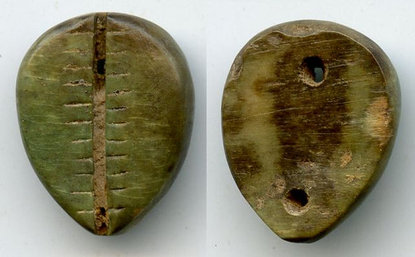 Rare ancient green bone cowrie-coin, W.Zhou, 1046-771 BC, China