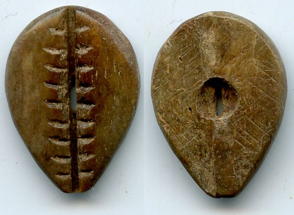 Rare brown bone cowrie-coin (teeth and one hole), W.Zhou, 1046-771 BC, China