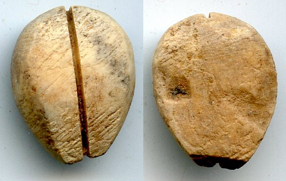 Authentic bone cowrie-coin (no teeth/holes), W.Zhou, 1046-771 BC, China (H#1.2)