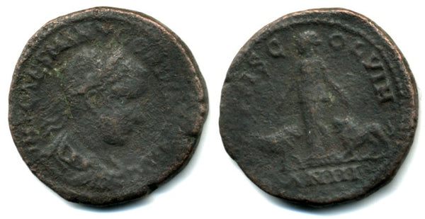 AE31 (sestertius) of Gordian III (238-244 AD), Viminacium, Moesia Superior