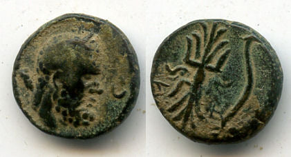 Nice ancient Greek AE13 from Selge, Pisidia, 2nd-1st century BC