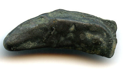 Ancient bronze dolphin-shaped coin, Olbia, Sarmatia, Circa 5th/4th Century BC