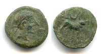 Ancient bronze semis (AE20), early 1st century BC, Castulo, Spain