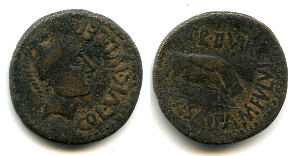 Large and rare AE29 of P.Salpa and M.Fulvius, duoviri in Spain, 44-36 BC, Celsa (Kelsa) in Spain