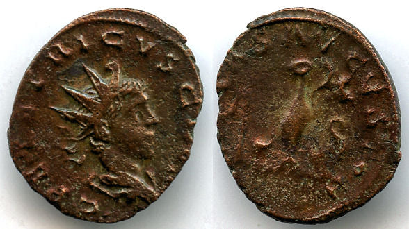 Bronze antoninianus of Tetricus II as Caesar (270-273 AD), pontificial implements, Gallo-Roman Empire