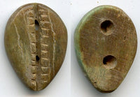 Rare olive-colored bone cowrie-shell coin, W. Zhou dynasty (1046-771 BC) - Hartill #1.2