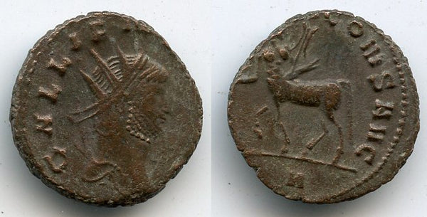 APOLLINI CONS AVG antoninianus of Gallienus (253-268) w/Centaur, Rome mint, Roman Empire (RIC 164)