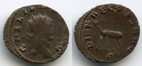 DIANAE CONS AVG antoninianus of Gallienus (253-268) w/Antelope left, Rome mint, Roman Empire (RIC 179)