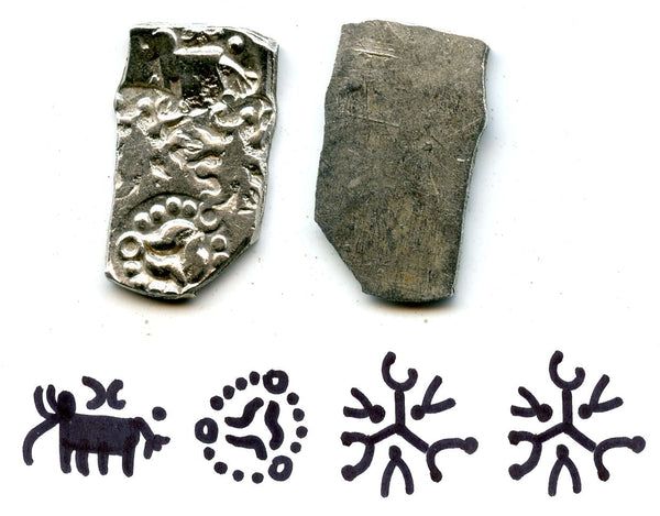 Extremely rare type! Silver punchmarked 1/2 karshapana from Cheitya Janapada, ca.400-300 BC, Ancient India