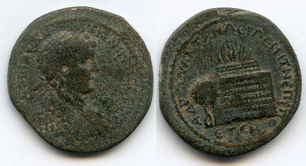 LARGE provincial bronze (AE31) of Caracalla (198-217 AD), Amasia in Pontus, Roman Empire, dated 208 AD.