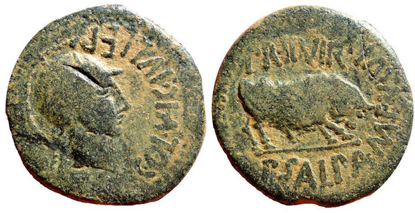 Large and rare AE30 of L.Nep. and L.Sura, duoviri in Spain, time of the second triumvirate, 44-36 BC, Celsa (Kelsa) in Roman Spain