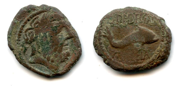 Rare bronze semis, Carteia, Spain, Roman Republican, ca.150-100 BC