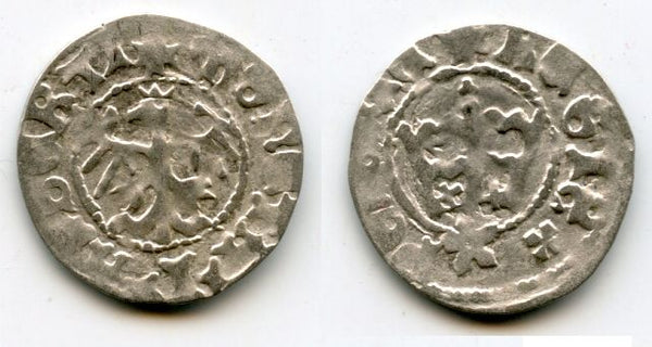 High quality! Scarce silver 1/2 grosso of John Albert (Jan Olbracht) (1492-1501), Poland