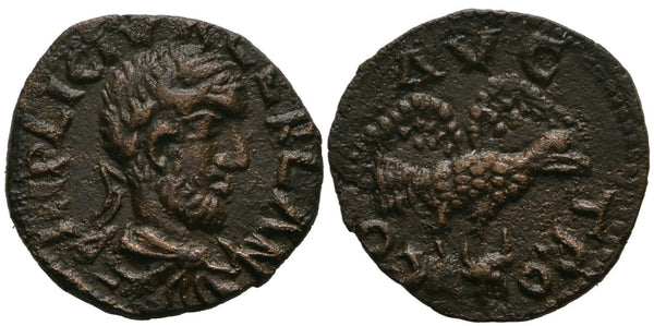 High quality AE20 of Valerian (253-260 AD), Alexandria Troas, Roman Provincial issue (Bellinger A439)