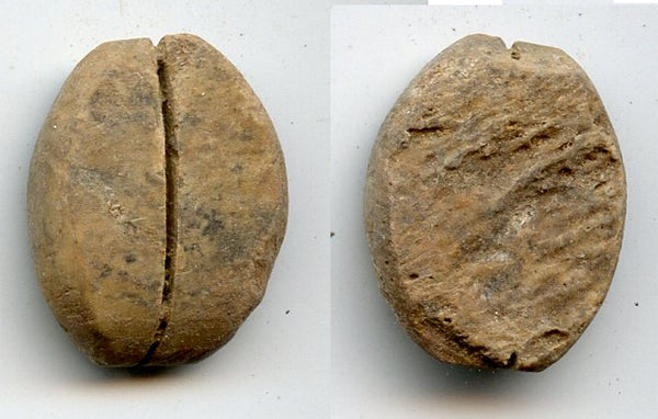 Bone cowrie-coin (no teeth/holes), W.Zhou dynasty (1046-771 BC), China - Hartill #1.2